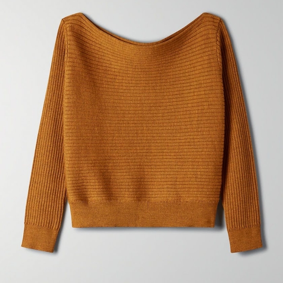 Aritzia Sweaters - Aritzia Babaton Luc brown sweater